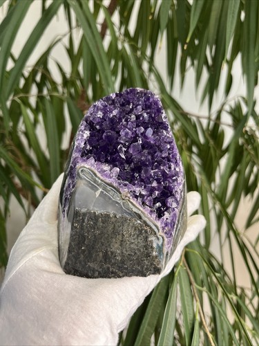 Hochqualitative amethyst druse - amethyst,