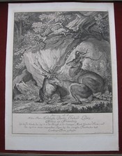 Johann Elias Ridinger: Landschaft Hirsche 1741/Landscape Stags Print Radierung