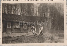 2 x Foto Arbeitsdienst 6/371