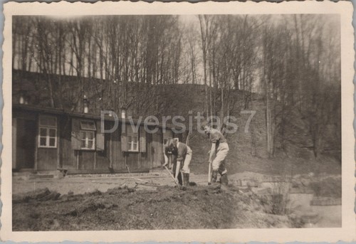Foto arbeitsdienst 6 371 - x,