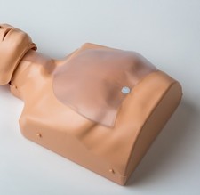 5 Stück Ersatzlunge für