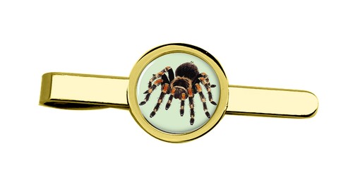 Spinne krawatte clip - spinne,