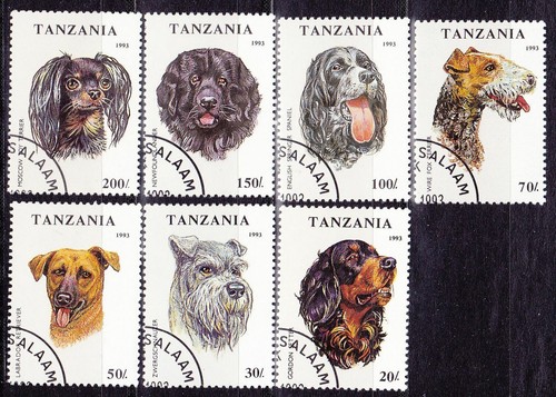 Hunde kompletter satz dogs - hunde,