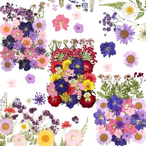 Getrocknete blumen diy - getrocknete, deko