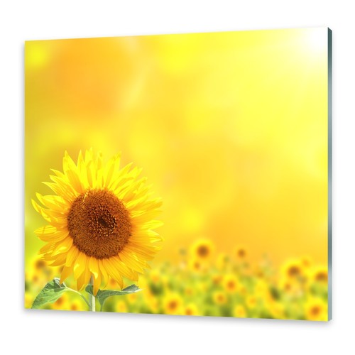 Acrylglasbilder wandbild aus - acrylglasbilder,
