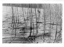 Handabzug Fotografie Kunst