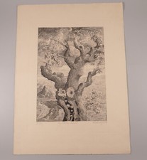 Radierung der Weltenbaum 1974