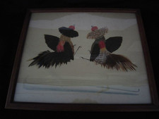 Selten Vögel Hähne 19. Jhd