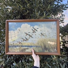 Taking To Wing von Peter Scott