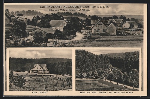 Allrode harz villa - ak, harz,