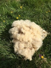 5kg naturbelassene Schafwolle