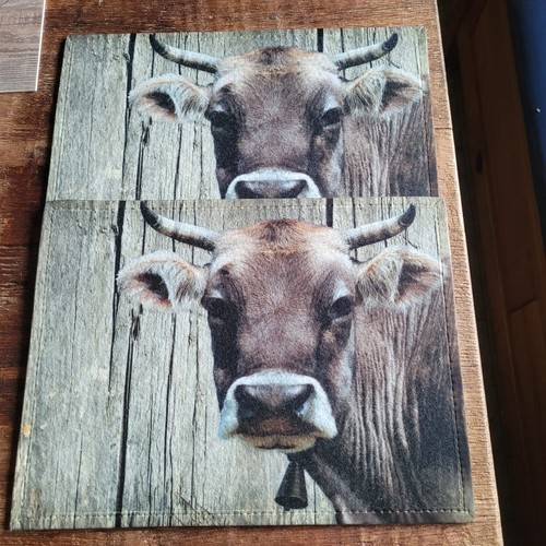 Große tischsets 30x40 cm - 2, x