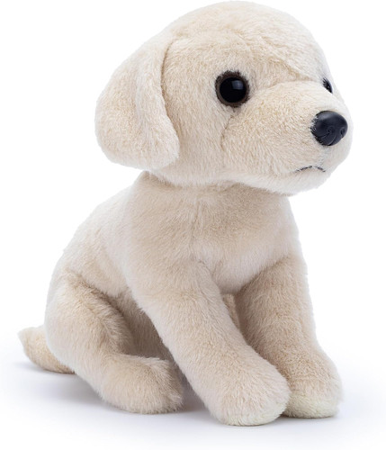 Buddy der weiße labrador - weiße,