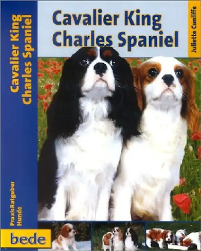Praxisratgeber cavalier king - cavalier,
