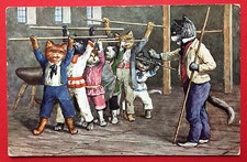 AK KATZE 1912 Katzen in