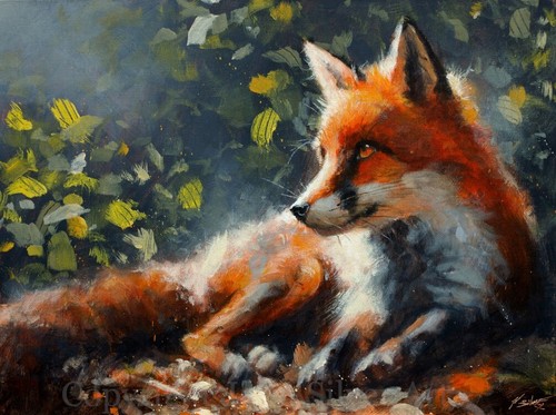 Fuchs portrait kunst - fuchs,