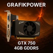 NVIDIA GeForce GTX 750 | 4GB