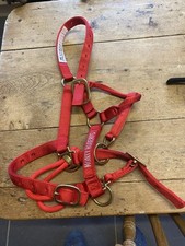 Monty Roberts doppeltes