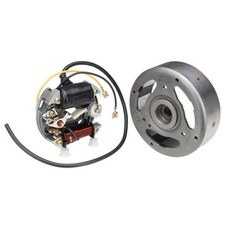 Lichtmaschine inkl. Polrad 6V