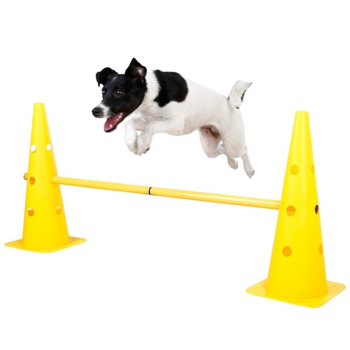 Agility pylonen hürden 1 - agility, in