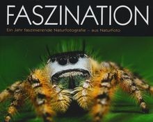Faszination: Ein Jahr