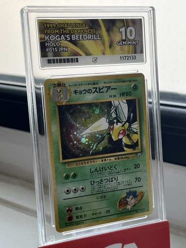 Pop koga s beedrill - pop, 3