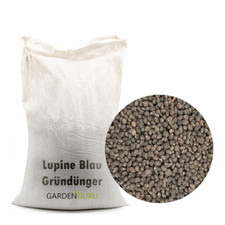 10kg Lupine blau Samen Lupinus