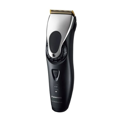 Panasonic dgp 65 profi - er,