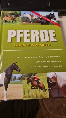 Pferde kennen und verstehen - pferde,