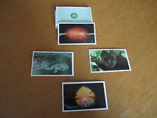 3 TEGUT STICKER - WWF REGENWALD - LESEN!