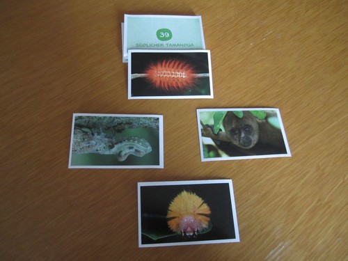 Tegut sticker wwf - tegut,