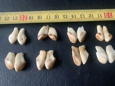 Set4 Hirsch Grandeln DEKO