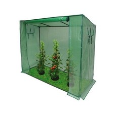 Tomaten Gewächshaus