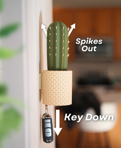 Spikey kaktus schlüsselhalter - spikey,