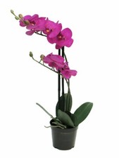  Künstliche Orchidee