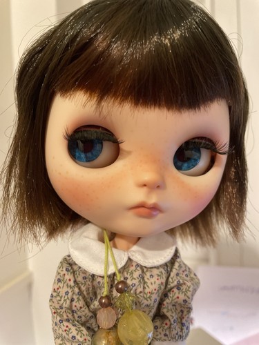 Ooak custom takara fbl - custom,