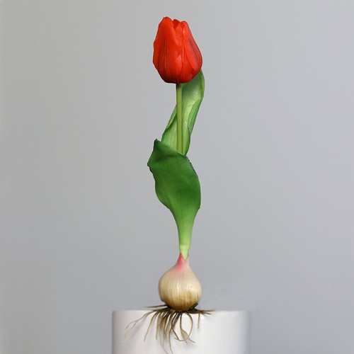Künstliche tulpe mit zwiebel - mit,