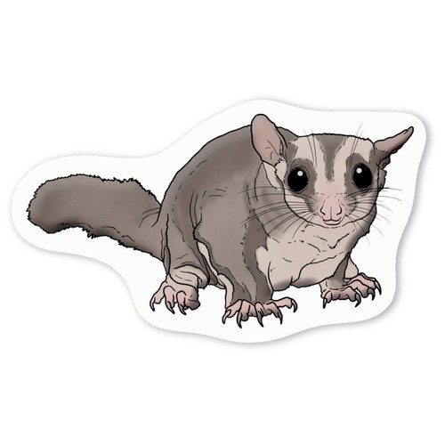 Aufkleber sticker sugar - aufkleber, "sugar