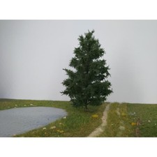 Silhouette 276-52 Tanne H0 +