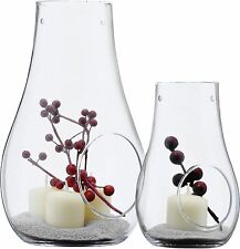 Glasschale Luftpflanze