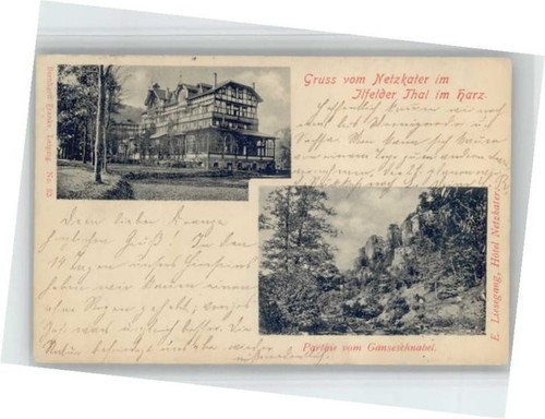 Ilfeld netzkater - ilfeld,