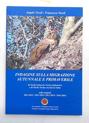 Nicoli untersuchung der - nicoli',