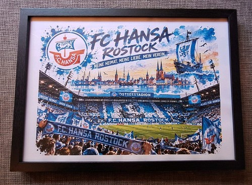 Bild fc hansa - hansa, rostock