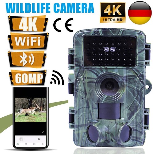 Wildkamera video - 4k,