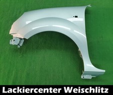 KOTFLÜGEL LACKIERT IN