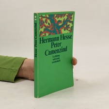 Peter Camenzind: Erzählung 