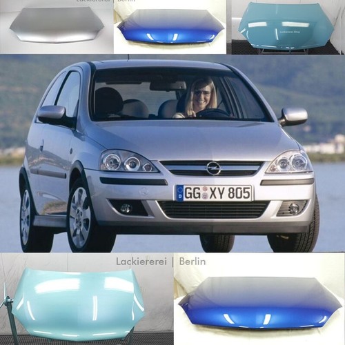Motorhaube lackiert - motorhaube, in