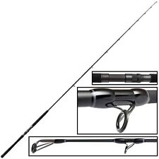 Bullseye Nazgul 2,60m 30lbs