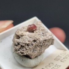 🔥WOW🔥Schöner Bixbit