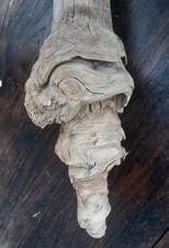 2 XL Treibholz Schwemmholz ? 72 cm Skulptur Dekoration Terrarium Sukkulenten 